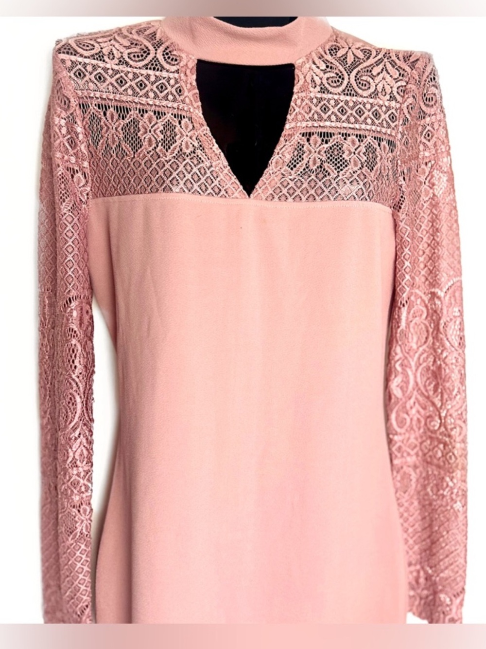 Blush Lace Long Sleeve Dress